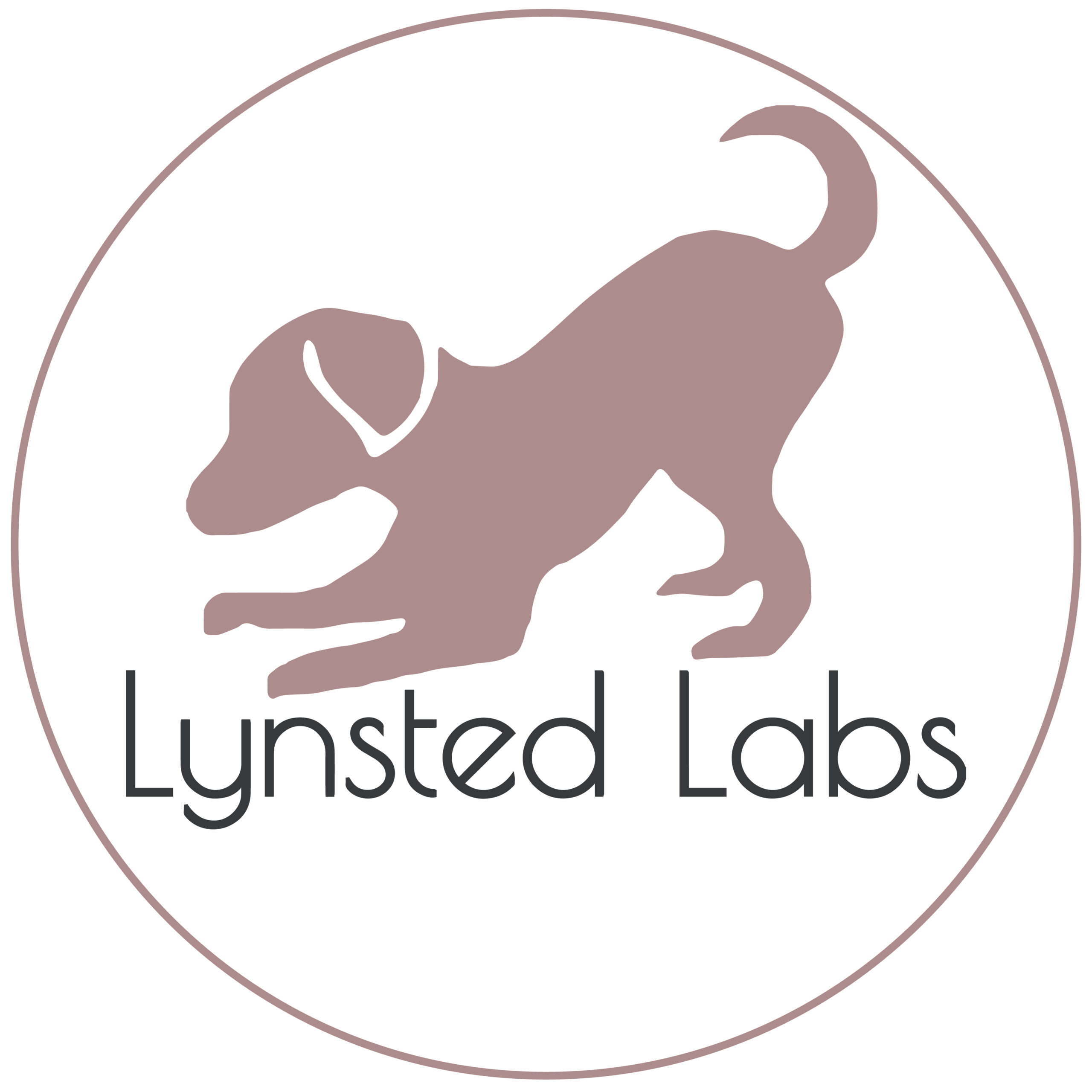 Lynsted Labs Logo Icon 01 scaled