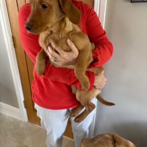 WhatsApp Image 2026 03 04 at 07.16.12