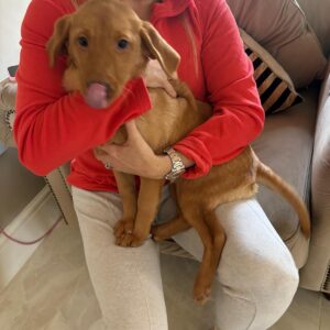 WhatsApp Image 2026 03 04 at 07.16.13 1