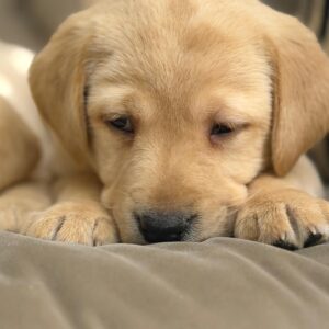 WhatsApp Image 2026 02 28 at 14.04.37