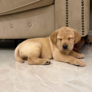 WhatsApp Image 2026 02 28 at 14.04.38 1